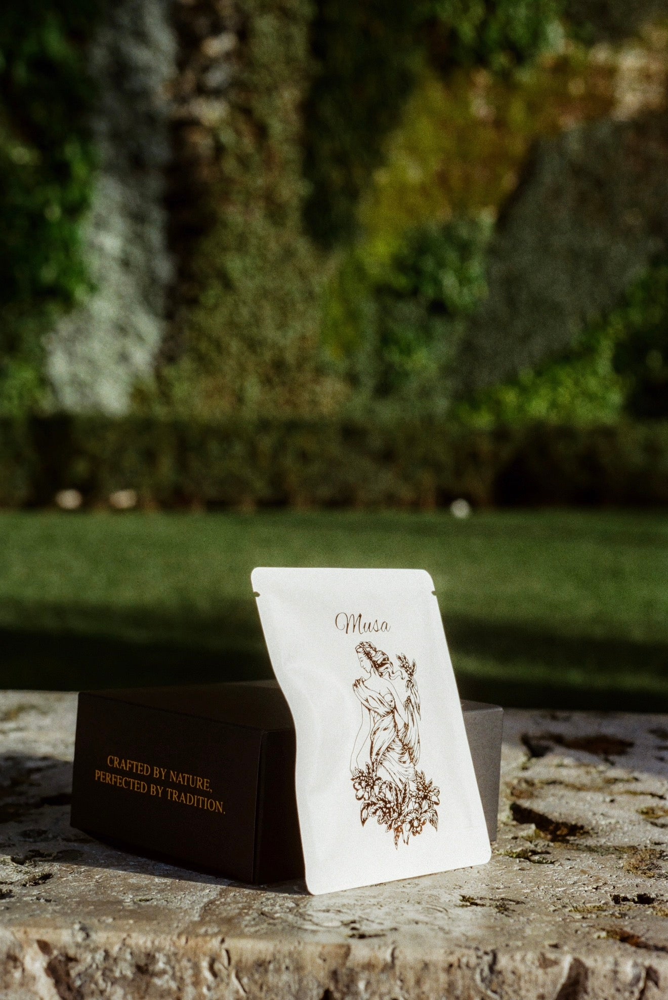 Single Serve Drip Filters